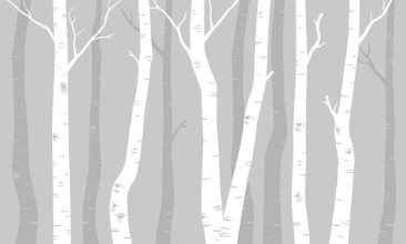 Picture of Graphic Birches I