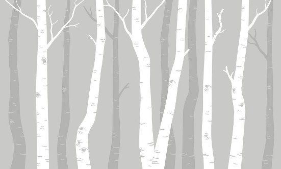 Picture of Graphic Birches I