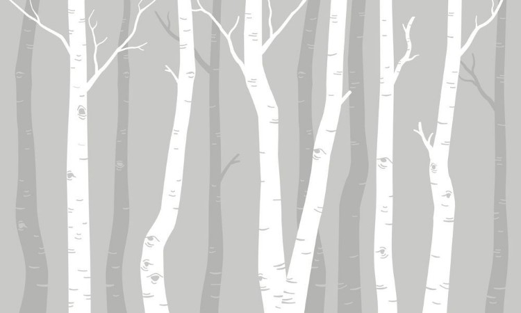 Picture of Graphic Birches I