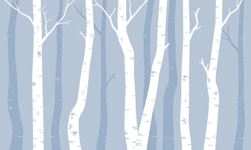 Picture of Graphic Birches II