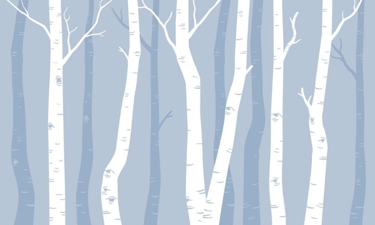 Picture of Graphic Birches II