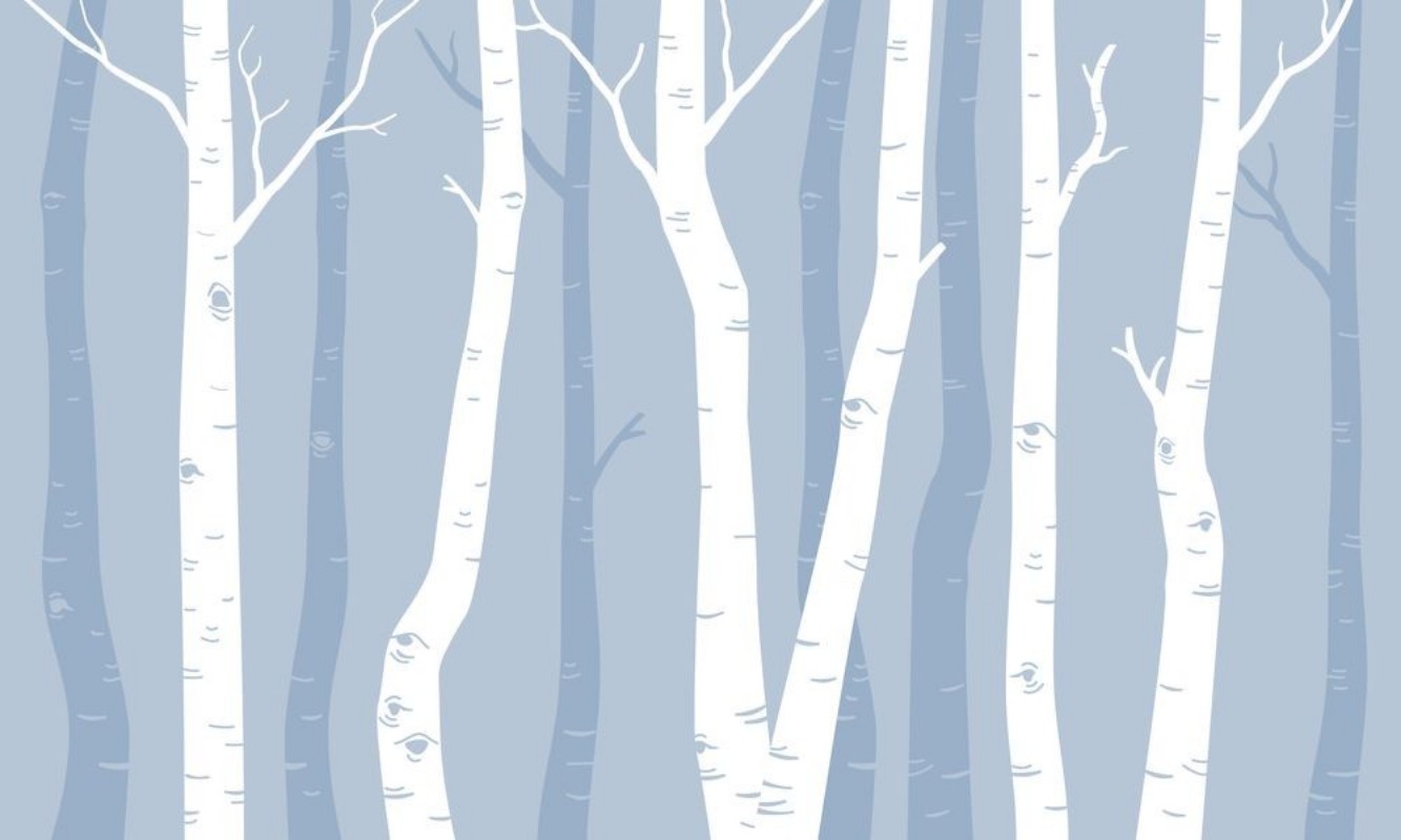 Bild på Graphic Birches II