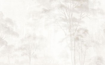 Obrazek Foggy Wood I