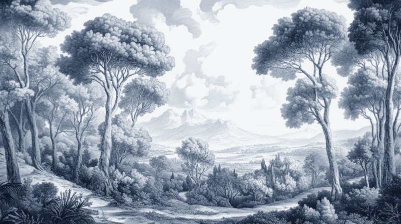 Picture of Scenic Landscape II