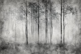 Bild på Forest Fantasy II