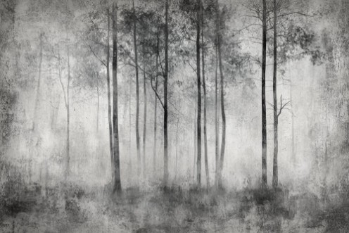 Forest Fantasy II paveikslėlis