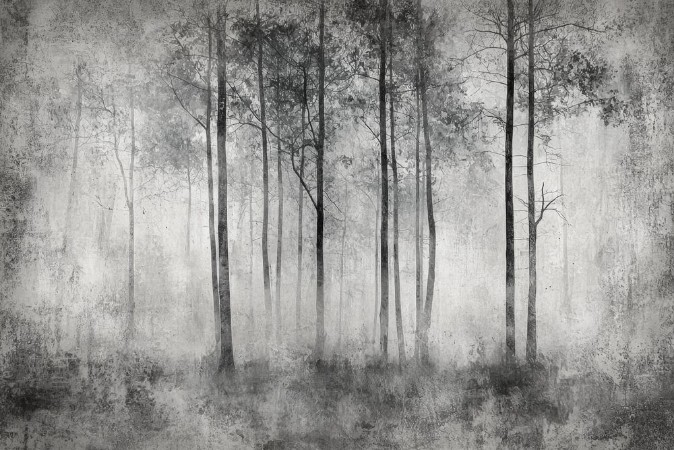 Bild på Färgsättning Forest Fantasy II - 08469-01