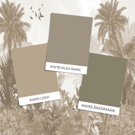 Picture of Sample style - Foggy Jungle I