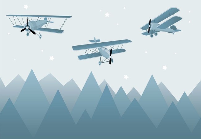 Picture of Fly With Me I