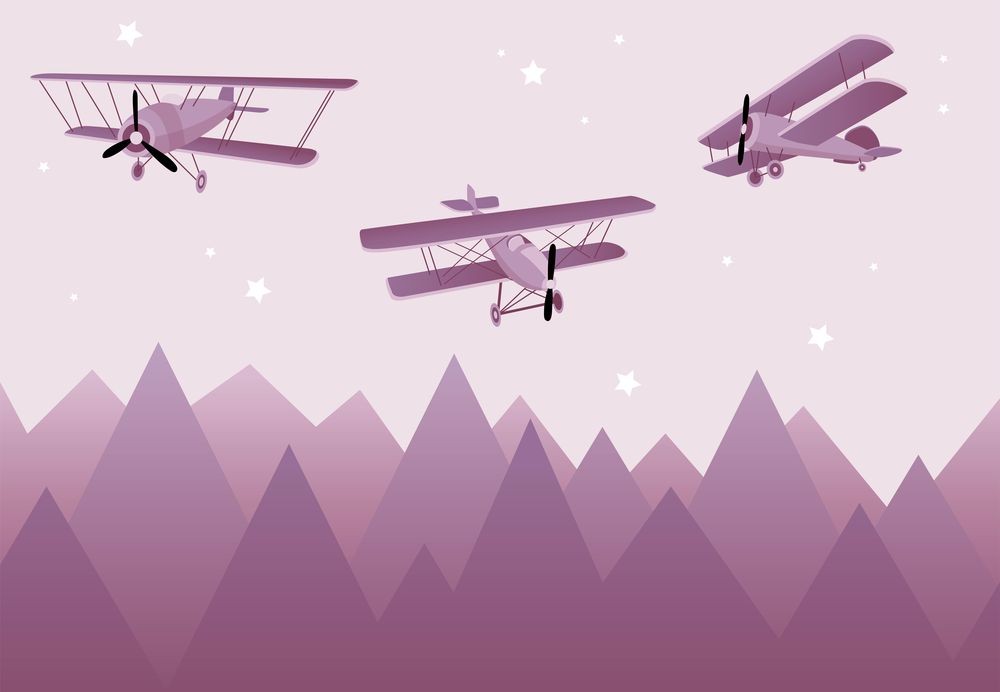 Bild på Fly With Me III