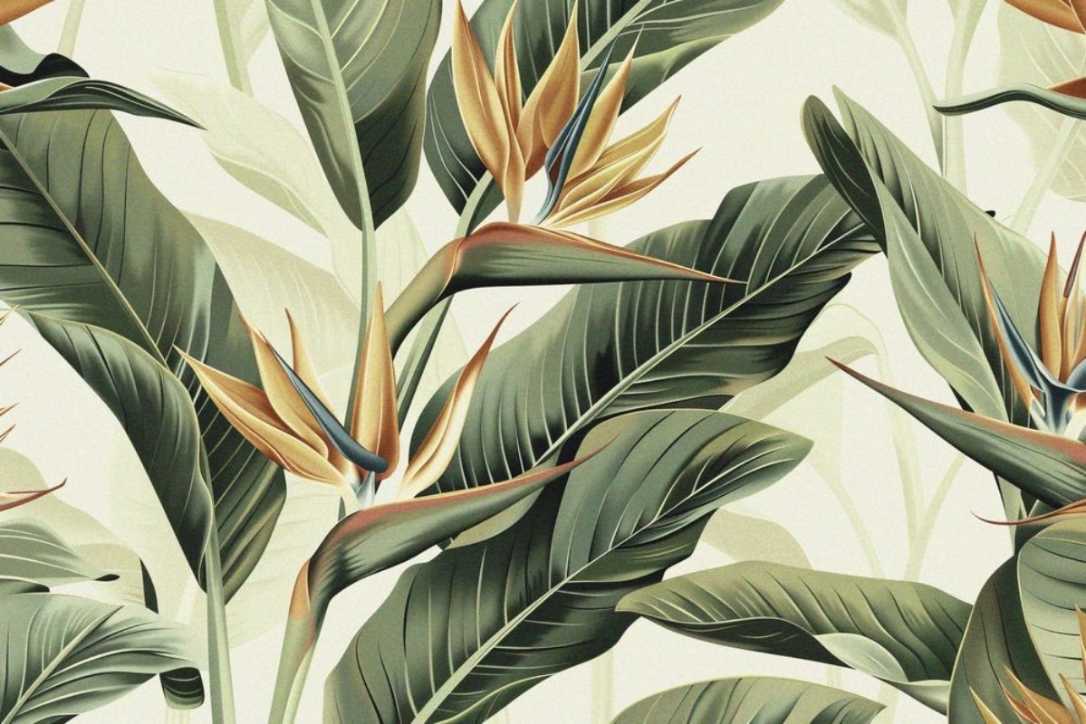 Image de Parrot Flower I