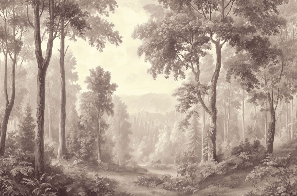 Afbeeldingen van Forest Path I