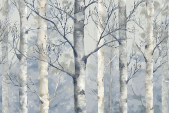 Picture of Birch Forest III