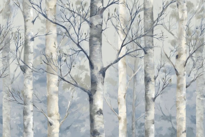 Picture of Birch Forest III