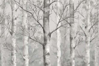 Picture of Birch Forest II