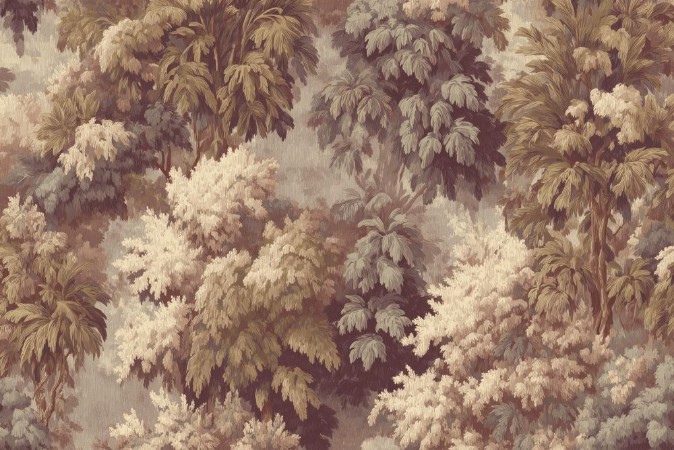 Picture of Mystery II