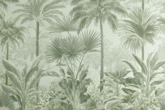 Picture of Santana II