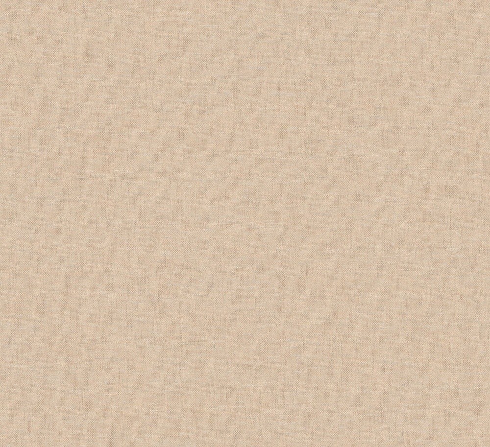 Bild på Telis Peach - RHA504