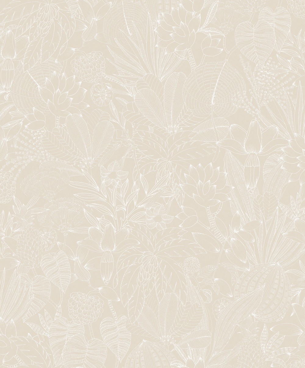 Bild på Bellis Angora - ROM101