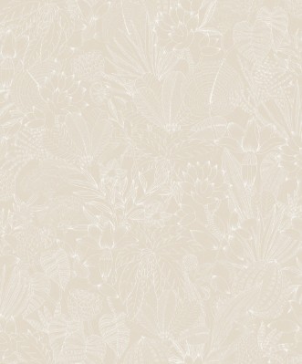 Picture of Bellis Angora - ROM101