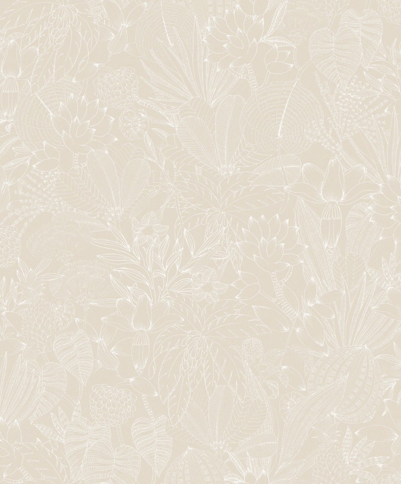 Bild på Bellis Angora - ROM101