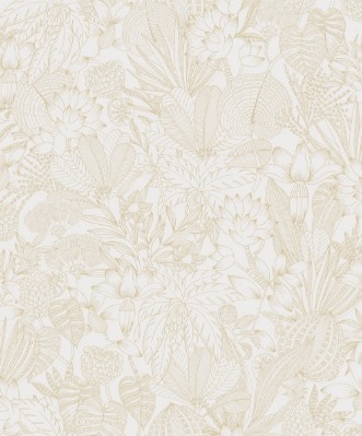 Picture of Bellis Gold - ROM102