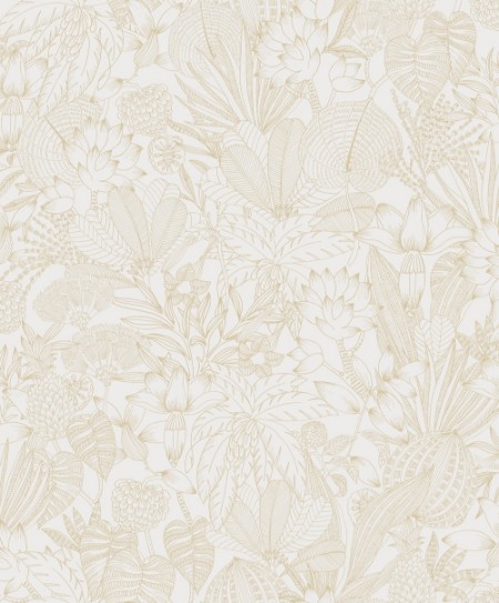 Picture of Bellis Gold - ROM102