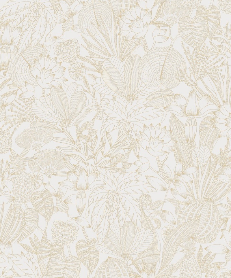 Bild på Bellis Gold - ROM102