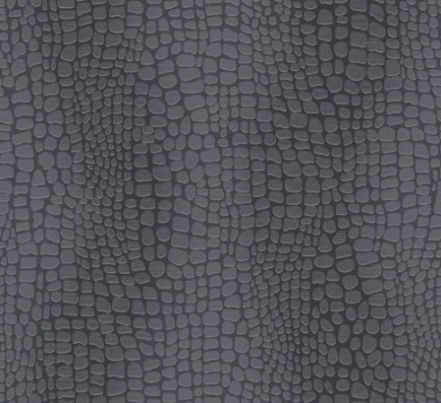 Picture of Panthera - ZON302