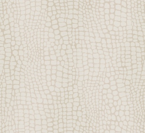 Picture of Panthera - ZON303