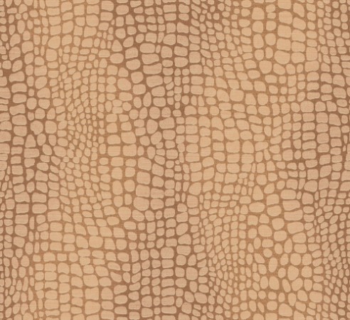 Picture of Panthera - ZON304