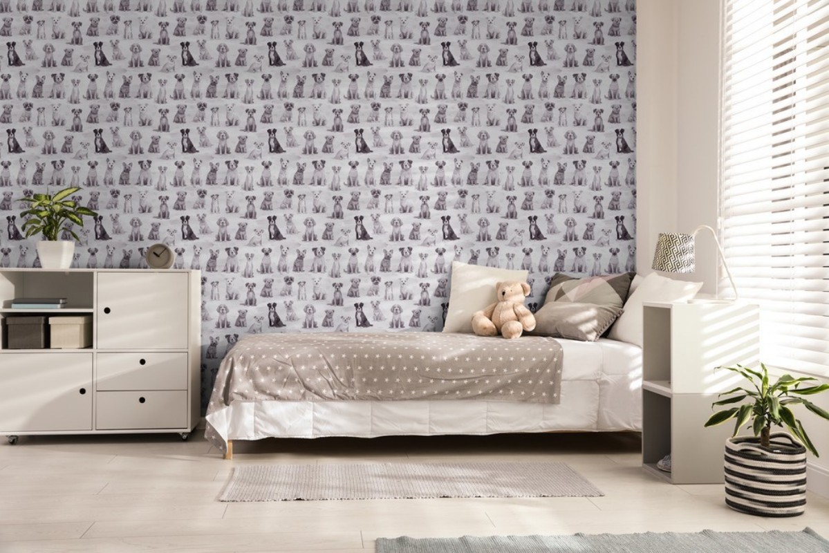 Picture of Buster Grey - 1096001-03