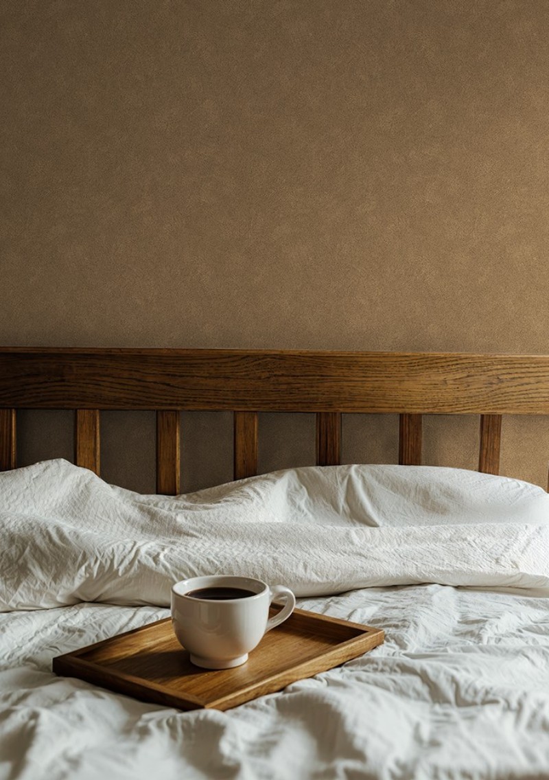 Plaster Rust - 1036001-12 wallpaper Studio Surface