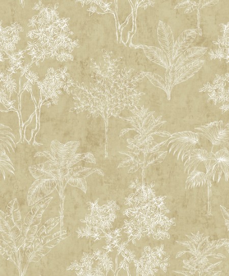 Tropical Forest - 36103 wallpaper Fiona