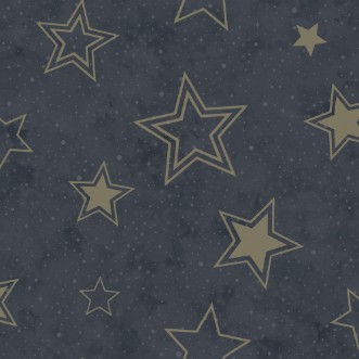 Stardust Midnight Blue/Gold - 14061 wallpaper Holden Decor