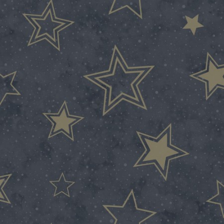 Stardust Midnight Blue/Gold - 14061 wallpaper Holden Decor