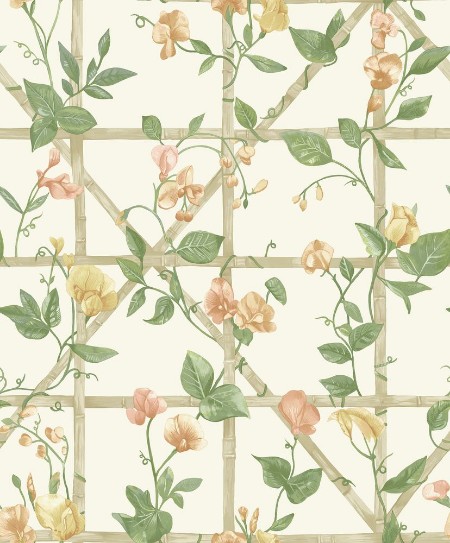 Trailing Floral Trellis Orange Cream - 14200 wallpaper Holden Decor