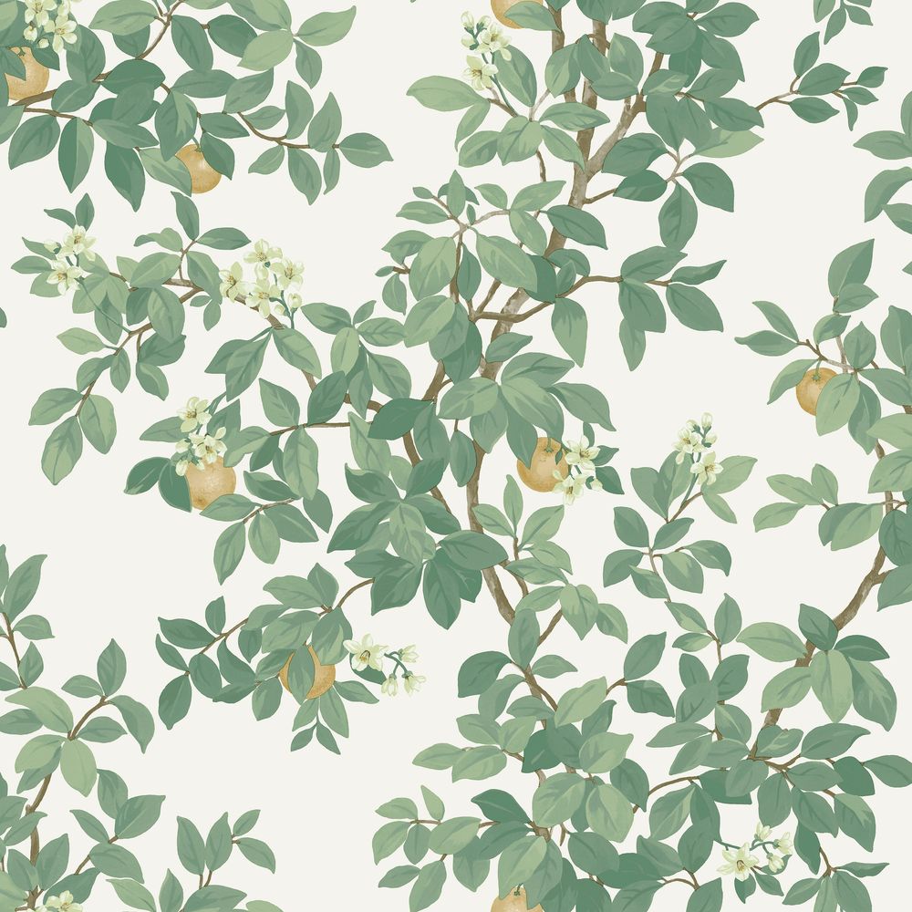 Orange Tree Cream Green - 14240 wallpaper Holden Decor