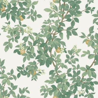 Orange Tree Cream Green - 14240 wallpaper Holden Decor
