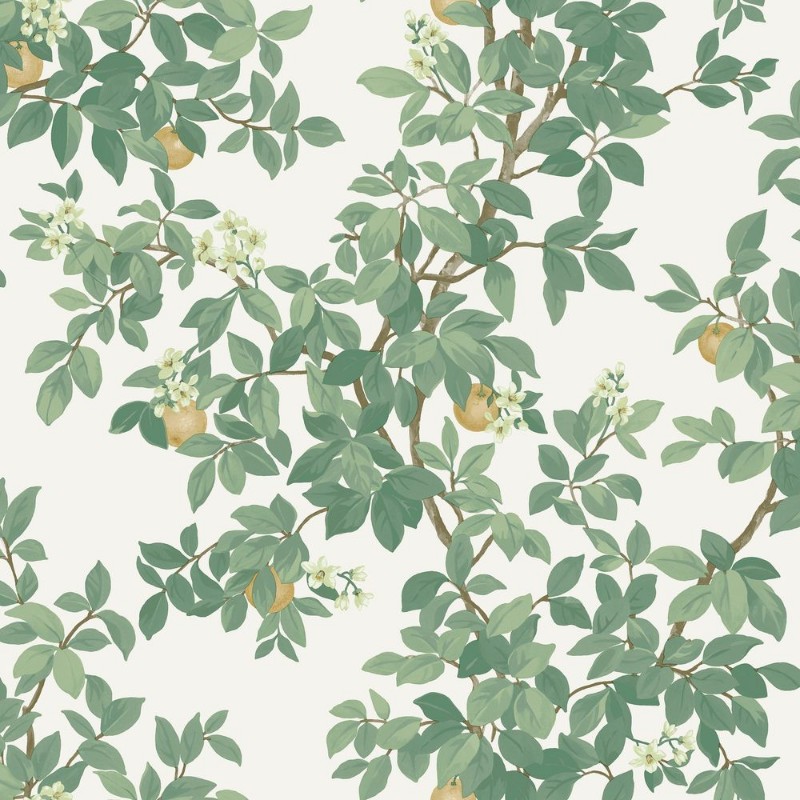 Orange Tree Cream Green - 14240 wallpaper Holden Decor