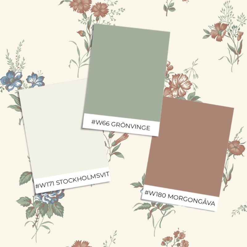 Image de Coloration Amalia - 436-01 - 08743-01