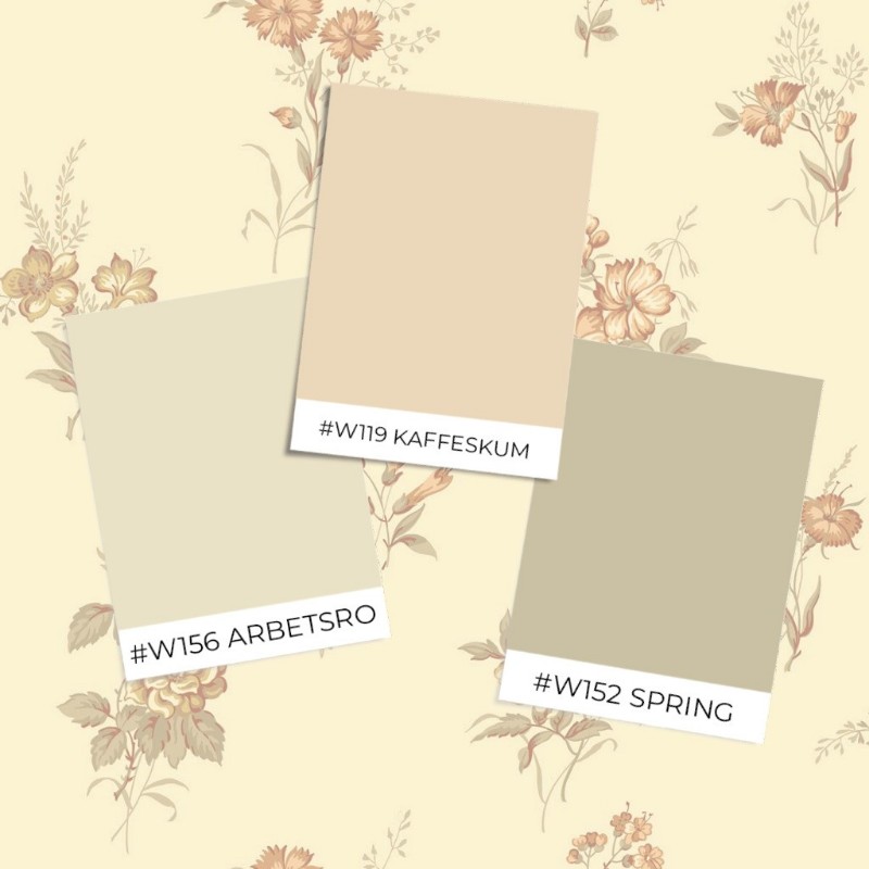 Image de Coloration Amalia - 436-02 - 08744-01