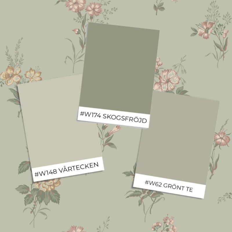 Image de Coloration Amalia - 436-03 - 08745-01