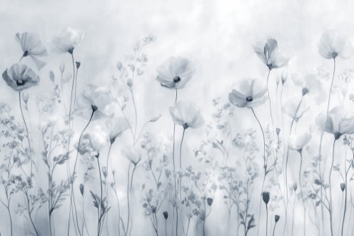 Obrazek Bright Poppies III