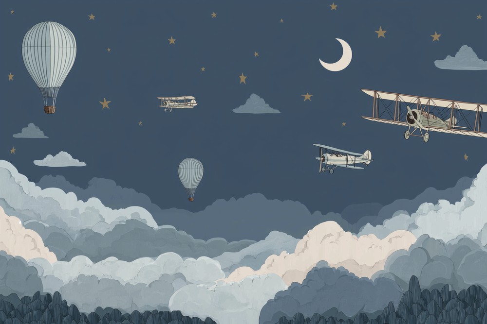 Slika Night Flight I