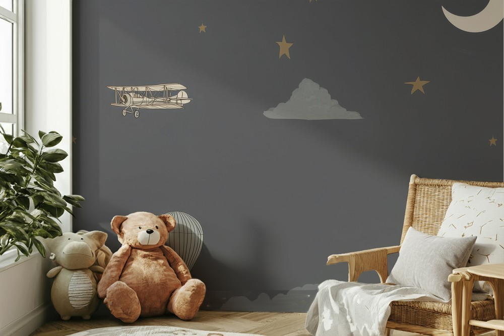 Slika Night Flight II