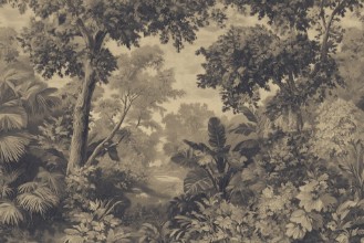 Afbeeldingen van A Walk in the Forest II