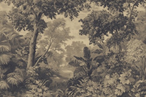 Image de A Walk in the Forest II