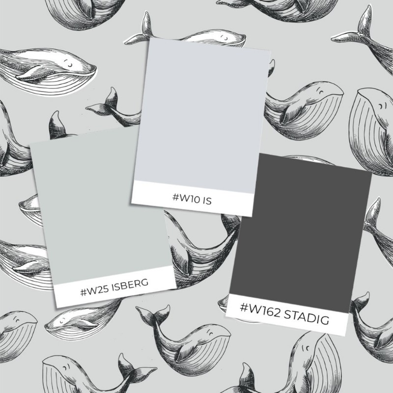 Image de Modèle d'échantillon - Pekka Grey - 1100401-03