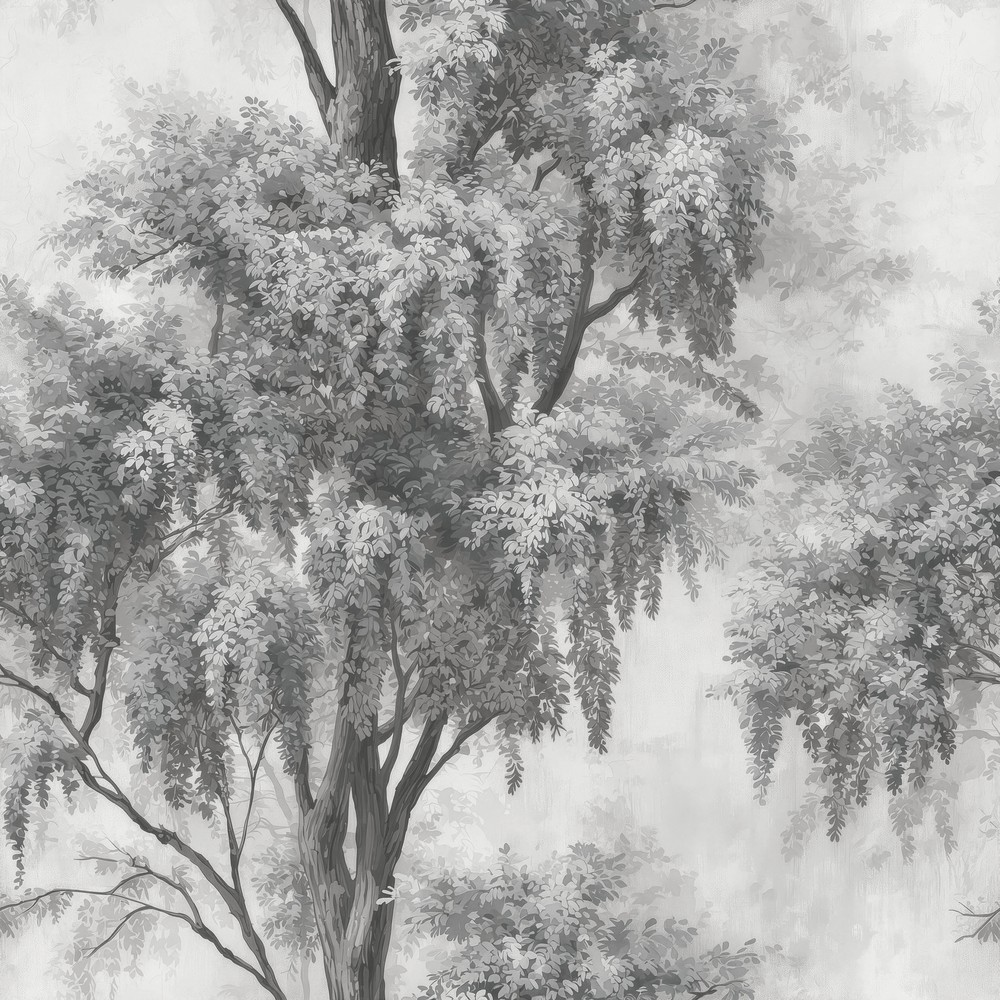 Image de 